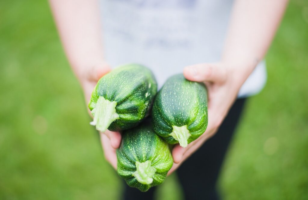 Come preparare le zucchine grigliate: il trucco per renderle saporite e perfette