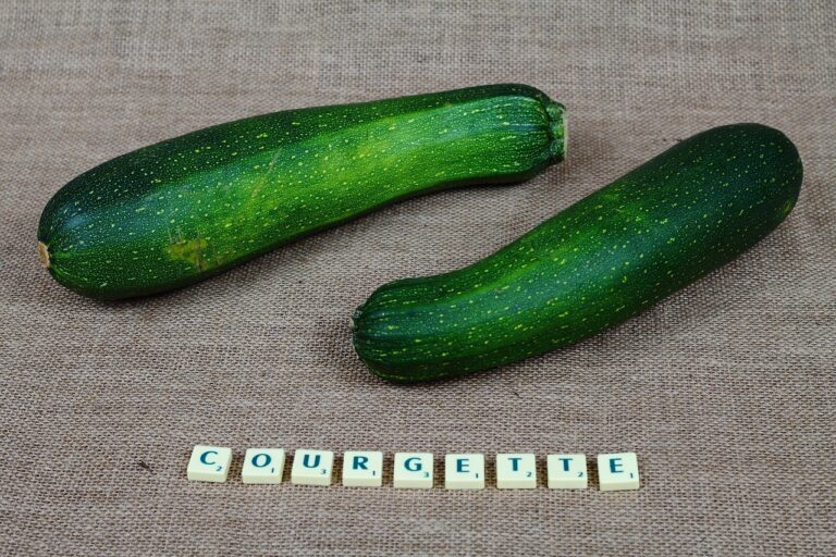 Zucchine grigliate a regola d'arte: i consigli per non farle diventare molli