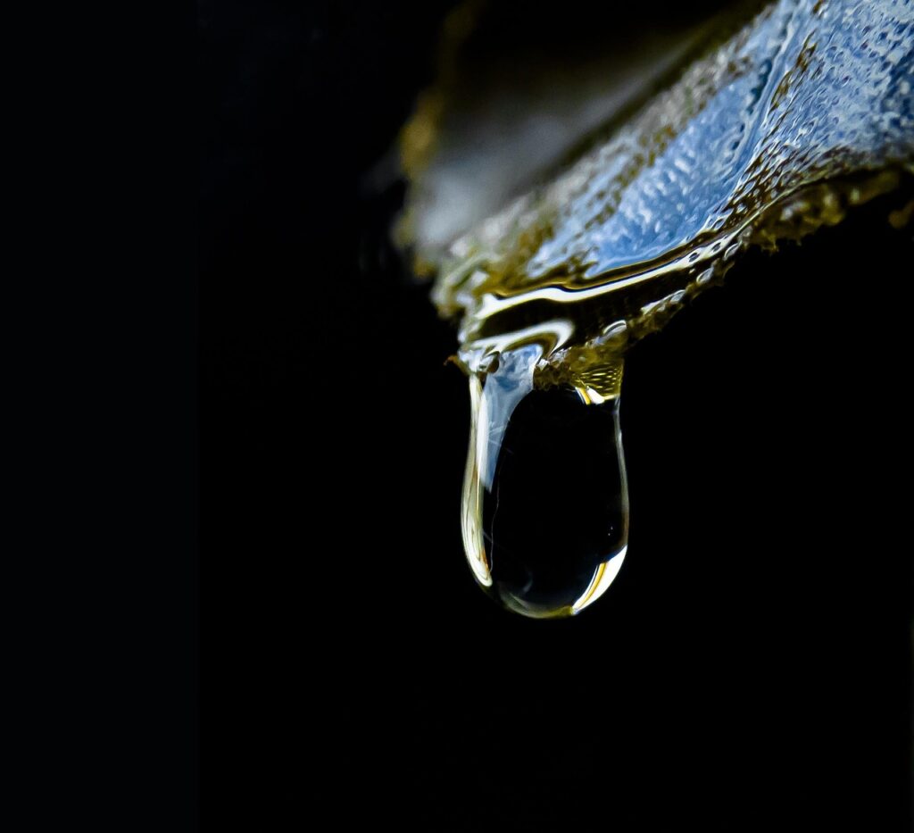 Scoprire il miele autentico: il trucco della goccia d’acqua che non si scioglie nel bicchiere