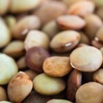 Lenticchie cotte in un piatto, pronte per un pasto leggero e digeribile.