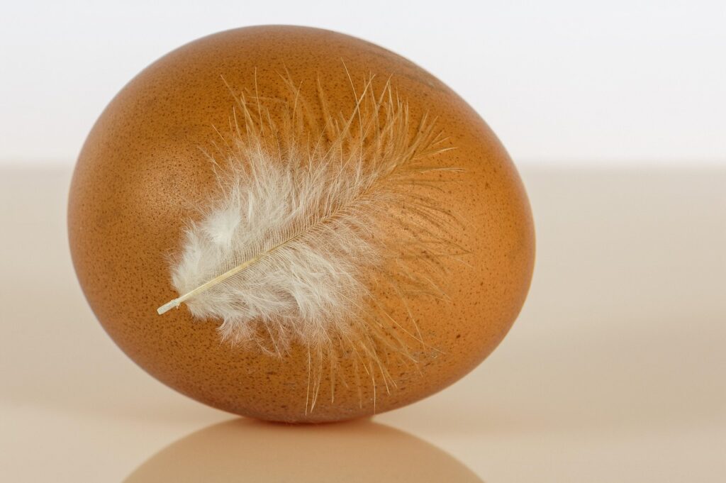 Come controllare la freschezza delle uova: il trucco del galleggiamento in acqua tiepida