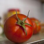 Pomodori freschi su un tavolo, evidenziando l'importanza della corretta conservazione.