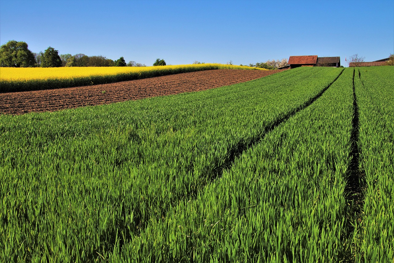 Immagine di un campo agricolo con cartelli "Vendesi" e grafico che mostra l'aumento del valore dei terreni.