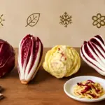 A quale stagione appartengono i diversi tipi di radicchio? Come sceglierli per antipasti e primi